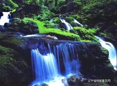 hahabet梦想